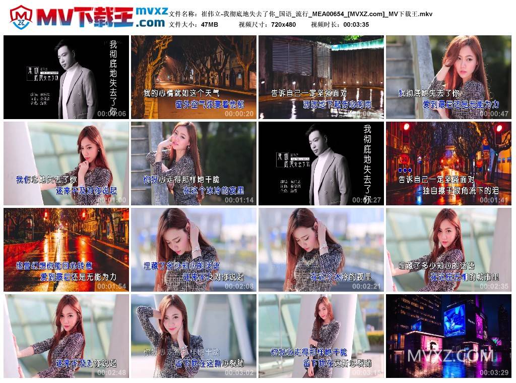 崔伟立-我彻底地失去了你_国语_流行_MEA00654